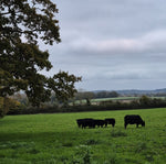 Autumn Take Five on the Farm