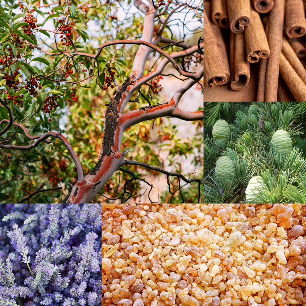 Top 5 Essential Oils to Use in Autumn