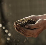 The Scent of Soil: Nature’s Hidden Therapy