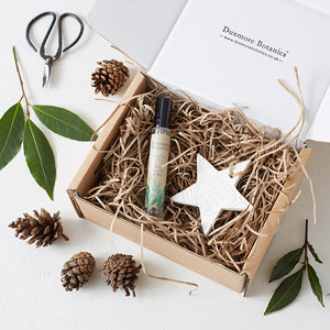 
            
                Load image into Gallery viewer, Natural Clay Diffuser &amp;amp; Botanical Mist - Pine, Cypress &amp;amp; Bay
            
        