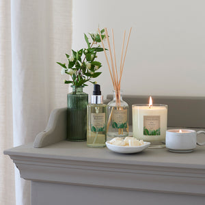 Pine, Cypress & Bay Candle