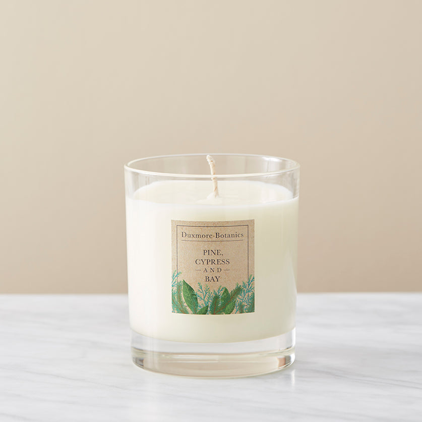 Pine, Cypress & Bay Candle